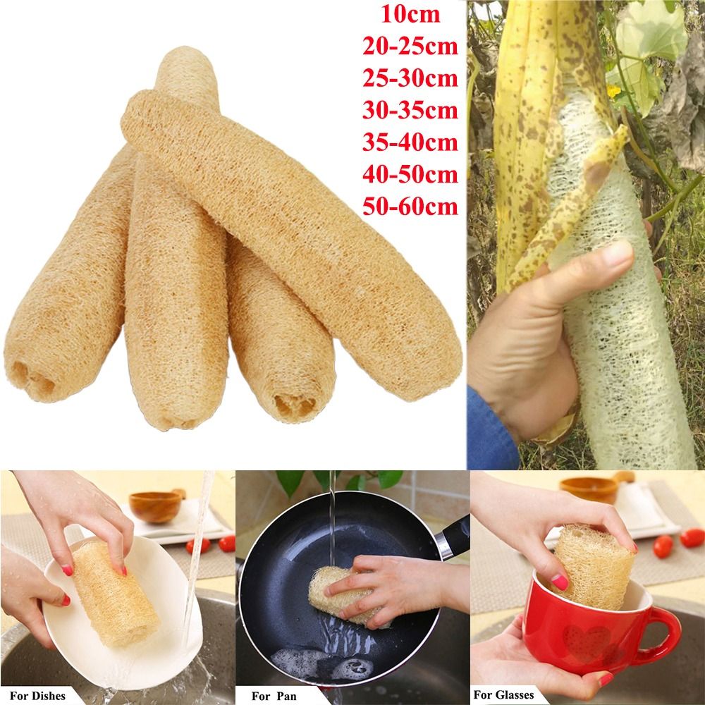 Natural Loofah Luffa Sponge No - Body Loofah Natural review and price