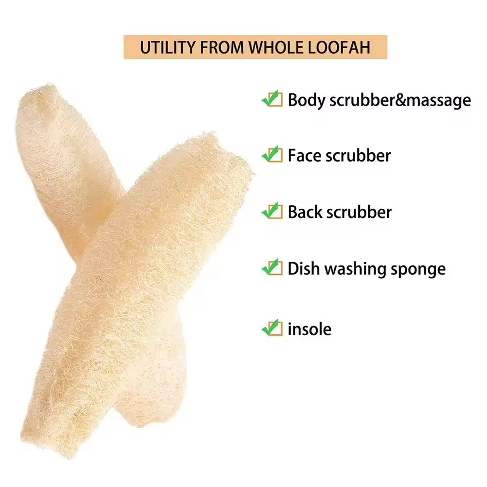 Natural Loofah Sponge Multi-pu - Body Loofah Natural review and price